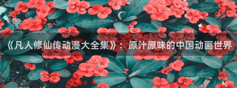 小南同人动漫