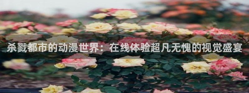 3d同人动漫网站免费看